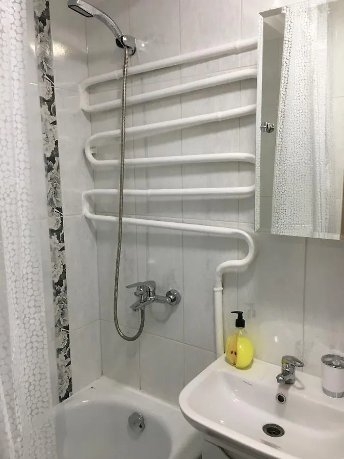 Apartment In The Heart Of Kiev